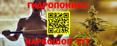 СК Ачхой-Мартан