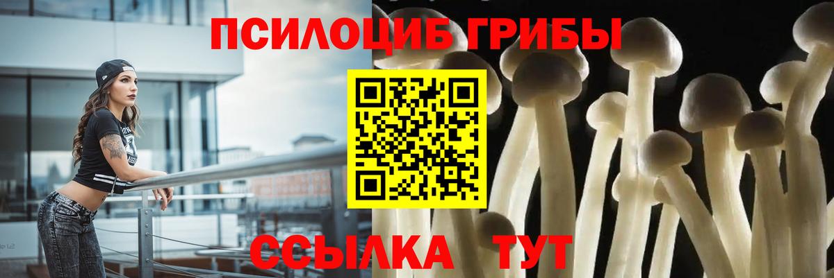 Псилоцибиновые грибы Magic Shrooms Артёмовский
